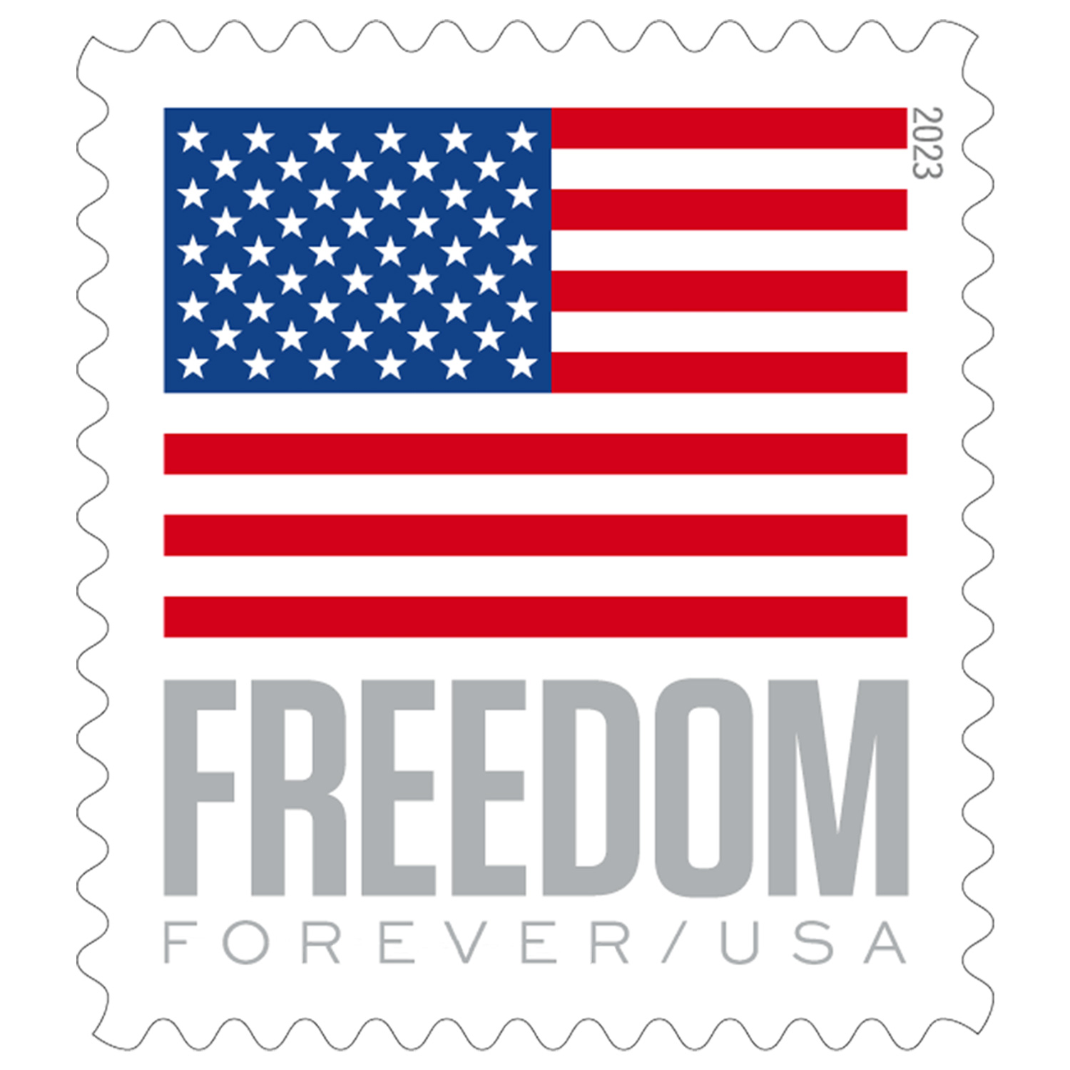 U.S. Flag 2023