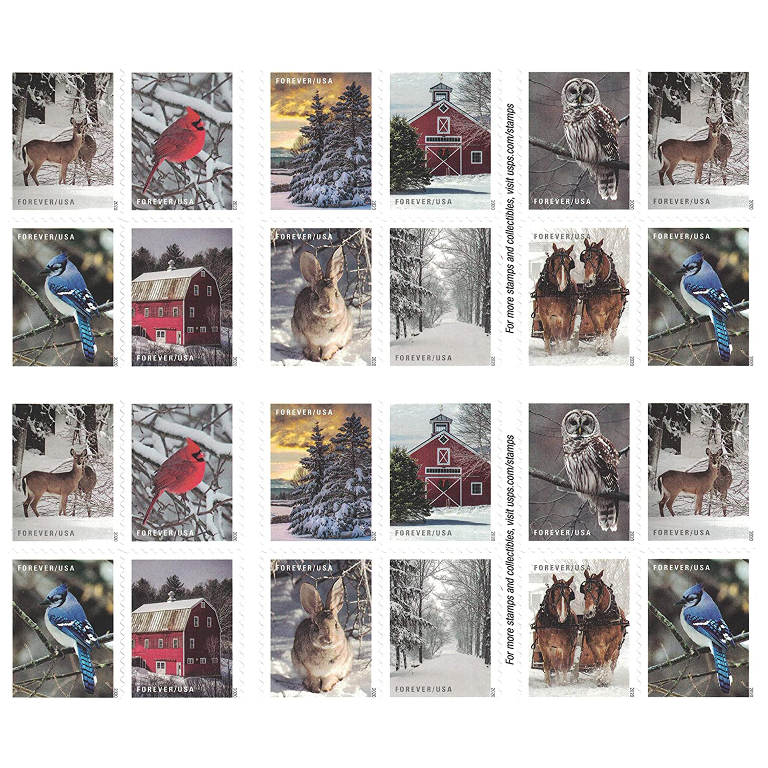 Winter Scenes