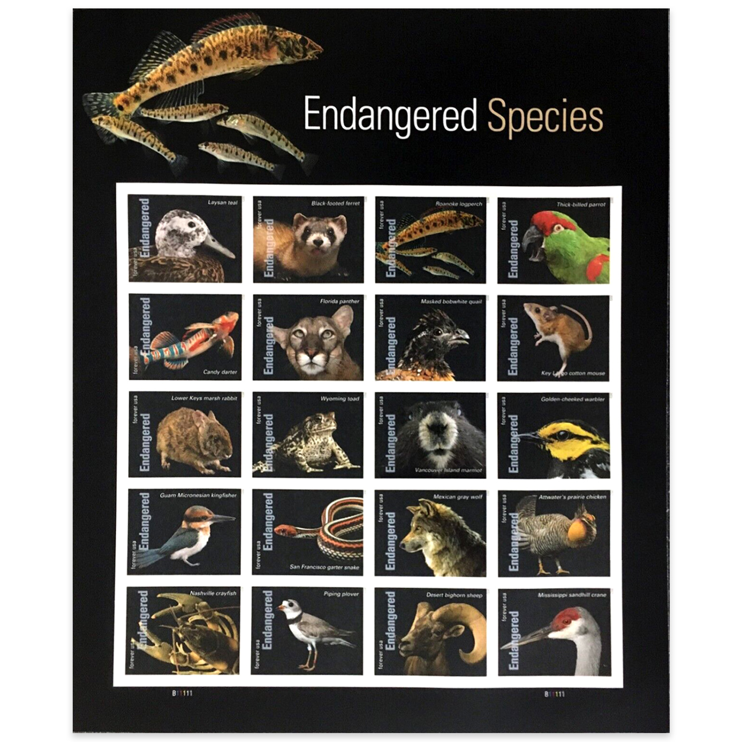 Endangered Species